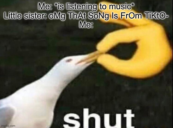 SHUT | Me: *is listening to music*
Little sister: oMg ThAt SoNg Is FrOm TiKtO-
Me: | image tagged in shut,tiktok sucks,tik tok sucks | made w/ Imgflip meme maker