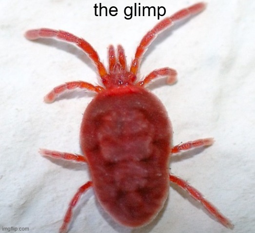 the glimp | made w/ Imgflip meme maker