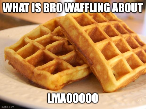 Essay Waffle | WHAT IS BRO WAFFLING ABOUT LMAOOOOO | image tagged in essay waffle | made w/ Imgflip meme maker