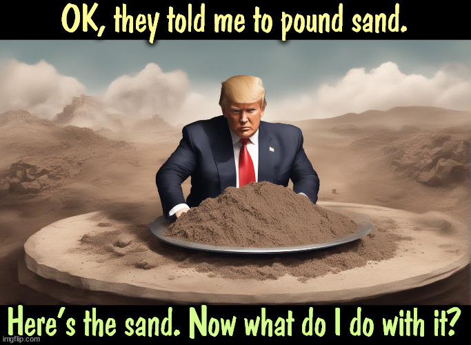 OK, they told me to pound sand. Here's the sand. Now what do I do with it? | image tagged in trump,pound,sand | made w/ Imgflip meme maker