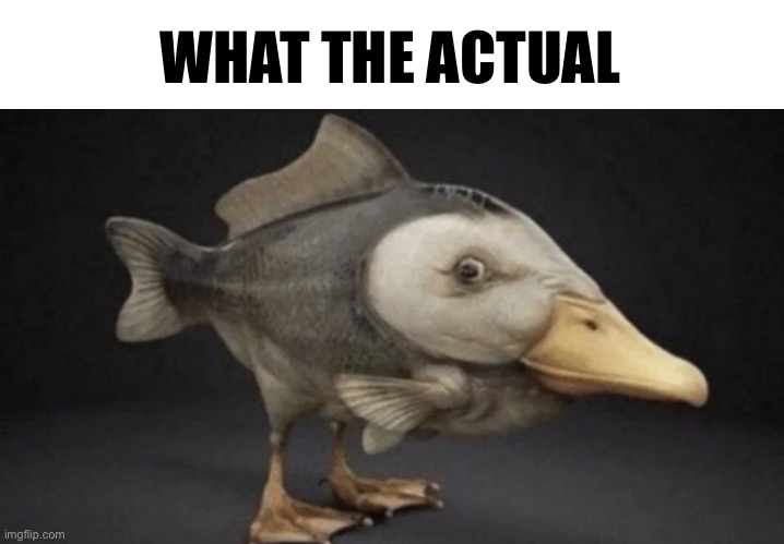 WHAT THE ACTUAL | made w/ Imgflip meme maker