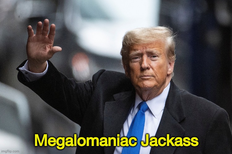 What he really is | Megalomaniac Jackass | image tagged in trump | made w/ Imgflip meme maker