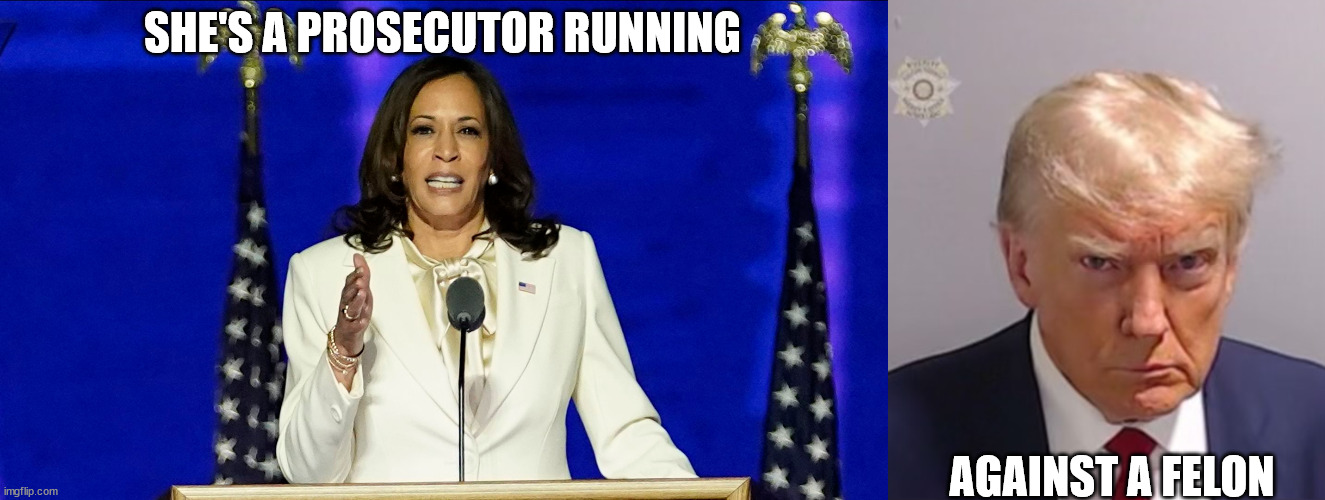 SHE'S A PROSECUTOR RUNNING; AGAINST A FELON | image tagged in donald trump mugshot | made w/ Imgflip meme maker