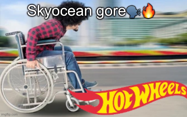 I made gore of Danny Hogan b4 | Skyocean gore🗣️🔥 | image tagged in hot wheels | made w/ Imgflip meme maker