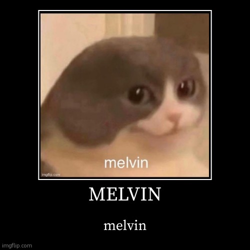 i dont remember where i saw this meme but i remade it cuz i love melvin | MELVIN | melvin | image tagged in demotivationals,stolen meme | made w/ Imgflip demotivational maker