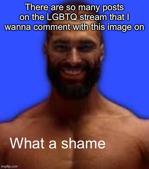 What a shame | There are so many posts on the LGBTQ stream that I wanna comment with this image on | image tagged in what a shame | made w/ Imgflip meme maker