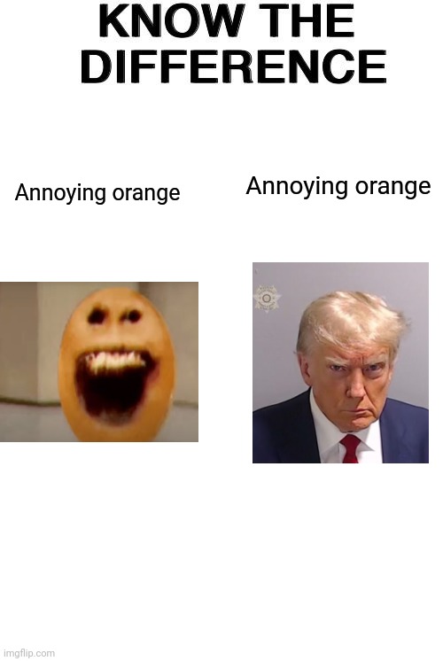 Know The Difference | Annoying orange; Annoying orange | image tagged in know the difference | made w/ Imgflip meme maker