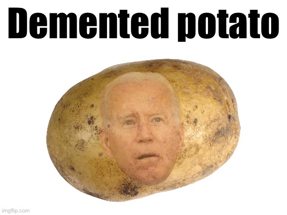 Finally he drops out | Demented potato | image tagged in blank white template | made w/ Imgflip meme maker
