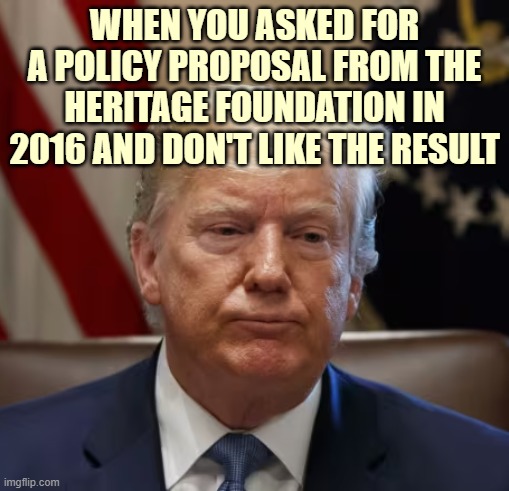 "Project 2025" | WHEN YOU ASKED FOR A POLICY PROPOSAL FROM THE HERITAGE FOUNDATION IN 2016 AND DON'T LIKE THE RESULT | image tagged in donald trump,american politics | made w/ Imgflip meme maker