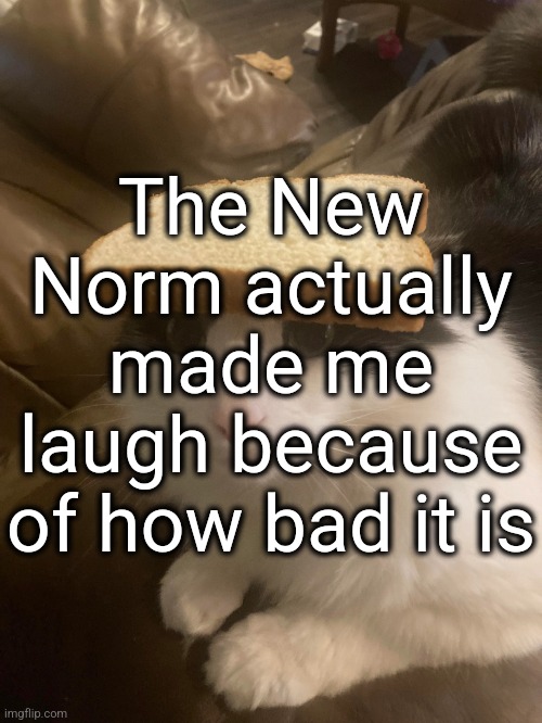 ""That" is one of my pronouns" ☝️? | The New Norm actually made me laugh because of how bad it is | image tagged in bread cat | made w/ Imgflip meme maker