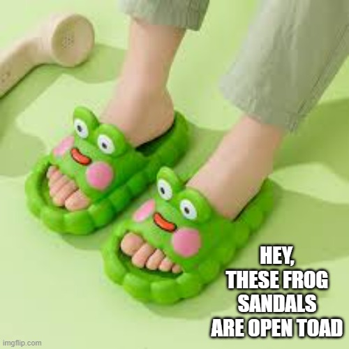 memes by Brad - These frog sandals are open toad | HEY, THESE FROG SANDALS ARE OPEN TOAD | image tagged in funny,fun,sandals,shoes,frogs,toad | made w/ Imgflip meme maker