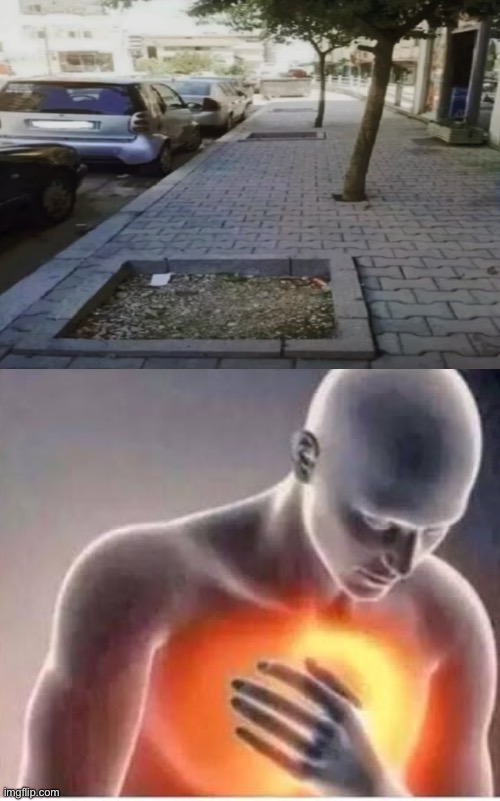 How does this even happen! | image tagged in chest pain,tree,street,pain | made w/ Imgflip meme maker