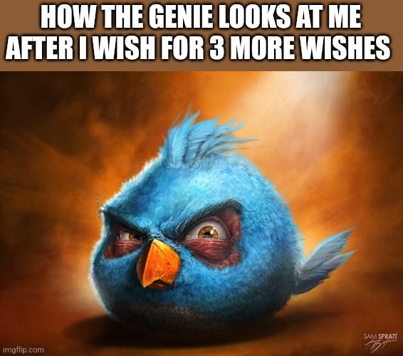 angry birds blue | HOW THE GENIE LOOKS AT ME AFTER I WISH FOR 3 MORE WISHES | image tagged in angry birds blue | made w/ Imgflip meme maker