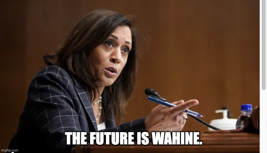 The Future is Wahine. | THE FUTURE IS WAHINE. | image tagged in president kamala | made w/ Imgflip meme maker