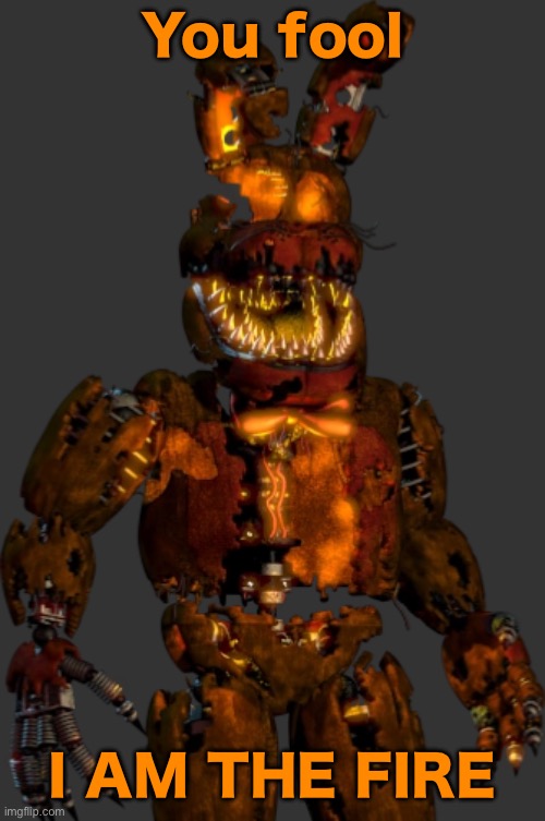 You fool I AM THE FIRE | made w/ Imgflip meme maker