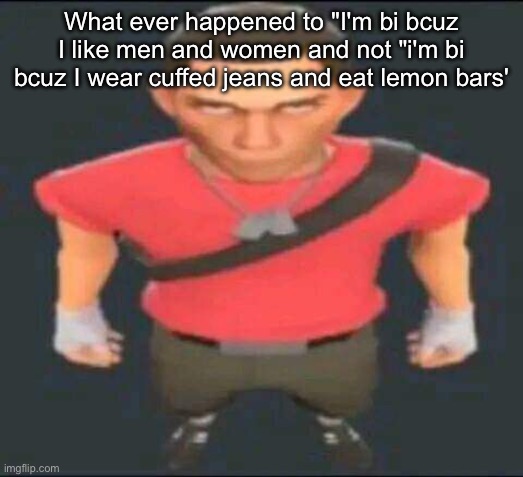 bro | What ever happened to "I'm bi bcuz I like men and women and not "i'm bi bcuz I wear cuffed jeans and eat lemon bars' | image tagged in bro | made w/ Imgflip meme maker