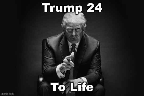 Sentence | Trump 24; To Life | image tagged in donald trump thug life,crime | made w/ Imgflip meme maker