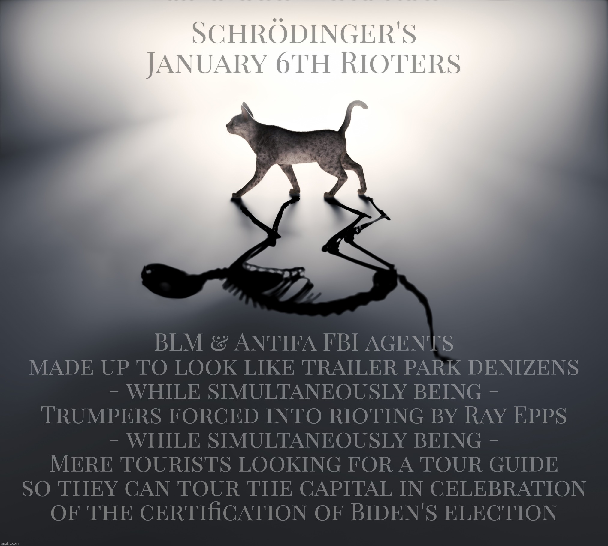 Schrödinger's January 6th Rioters | Schrödinger's January 6th Rioters; BLM & Antifa FBI agents made up to look like trailer park denizens
- while simultaneously being -
Trumpers forced into rioting by Ray Epps
- while simultaneously being -
Mere tourists looking for a tour guide so they can tour the capital in celebration
of the certification of Biden's election | image tagged in schrodinger's cat,schrodinger's january 6th rioters,january 6th rioters,january 6th,capitol hill riot,jan 6 | made w/ Imgflip meme maker