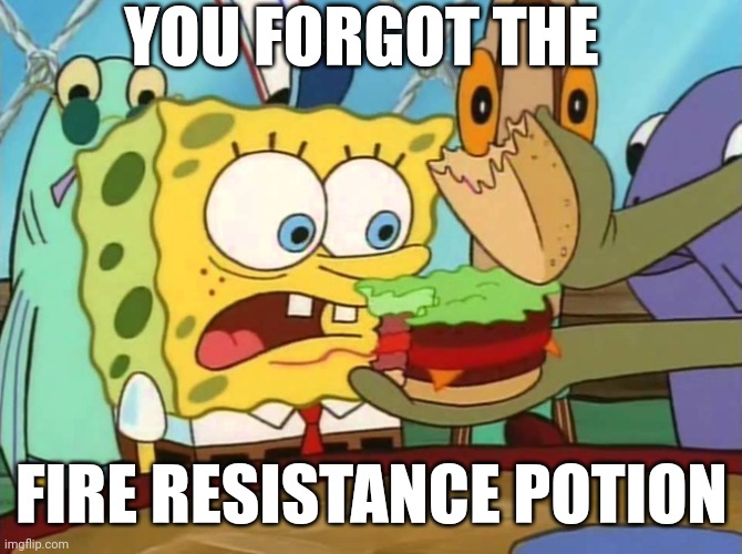 You forgot the pickles! | YOU FORGOT THE FIRE RESISTANCE POTION | image tagged in you forgot the pickles | made w/ Imgflip meme maker