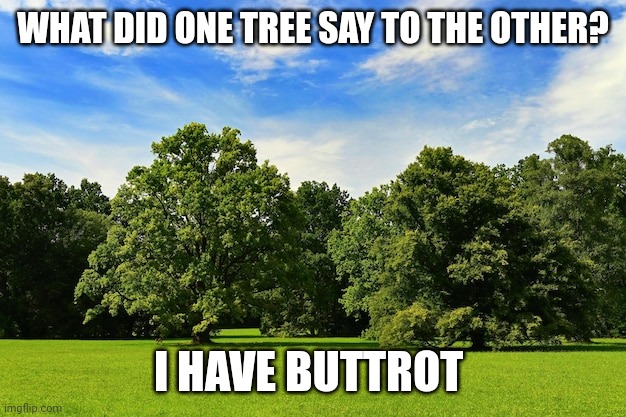 I have Buttrot | WHAT DID ONE TREE SAY TO THE OTHER? I HAVE BUTTROT | image tagged in funny memes | made w/ Imgflip meme maker