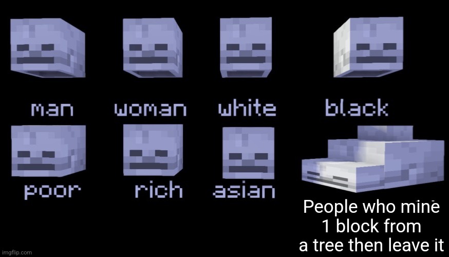 Empty Skulls of truth (Minecraft) | People who mine 1 block from a tree then leave it | image tagged in empty skulls of truth minecraft | made w/ Imgflip meme maker