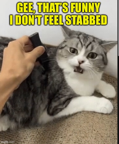 GEE, THAT’S FUNNY 
I DON’T FEEL STABBED | made w/ Imgflip meme maker