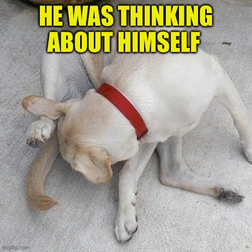 Dog licking | HE WAS THINKING ABOUT HIMSELF | image tagged in dog licking | made w/ Imgflip meme maker
