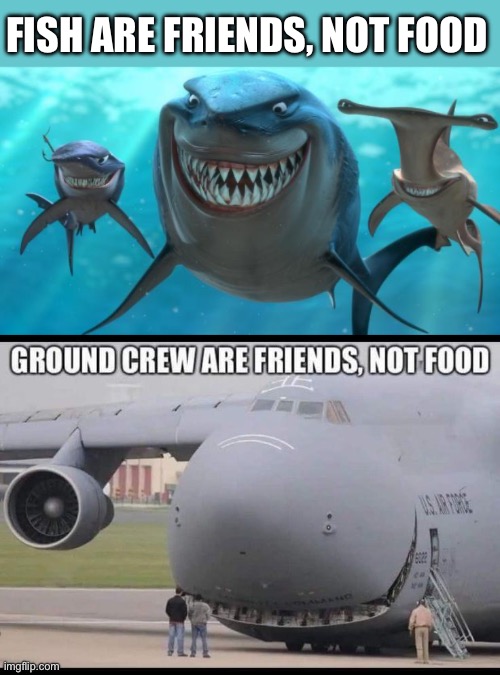 Ground crew | FISH ARE FRIENDS, NOT FOOD | image tagged in fish are friends not food,plane | made w/ Imgflip meme maker