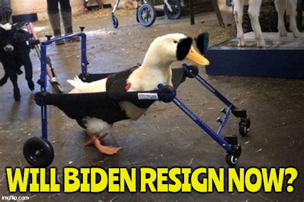 Lame Duck | image tagged in one term,no mo joe,lame duck,waddle along now,that quacks me up,rooster in the hen house | made w/ Imgflip meme maker