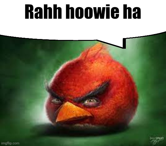 Realistic Red Angry Birds | Rahh hoowie ha | image tagged in realistic red angry birds | made w/ Imgflip meme maker