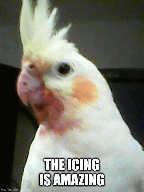 Bloodtiel (it's beetroot) | THE ICING IS AMAZING | image tagged in bloodtiel it's beetroot | made w/ Imgflip meme maker