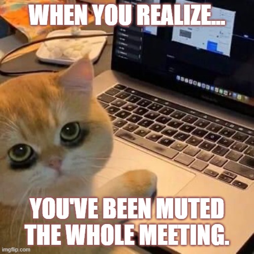 When you realize... | WHEN YOU REALIZE... YOU'VE BEEN MUTED THE WHOLE MEETING. | image tagged in when you realize | made w/ Imgflip meme maker