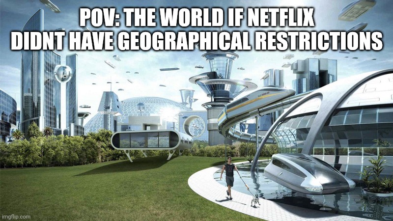 Why does every platform do it?!??!??!!!!? | POV: THE WORLD IF NETFLIX DIDNT HAVE GEOGRAPHICAL RESTRICTIONS | image tagged in the future world if | made w/ Imgflip meme maker