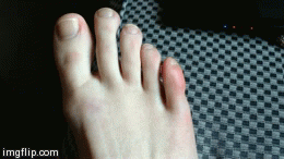 image tagged in gifs | made w/ Imgflip video-to-gif maker