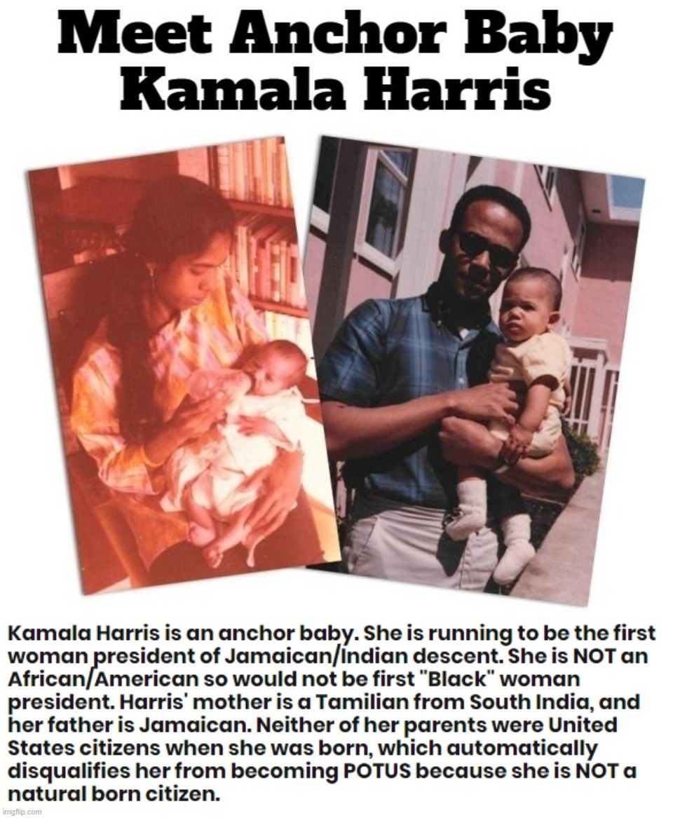 Meet Anchor Baby Kamala Harris | image tagged in anchor baby,kamala harris,natural born citizen,nope,ineligible,bye felicia | made w/ Imgflip meme maker