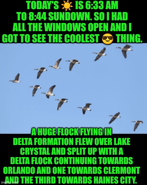 Cool ? event | TODAY'S ☀️ IS 6:33 AM TO 8:44 SUNDOWN. SO I HAD ALL THE WINDOWS OPEN AND I GOT TO SEE THE COOLEST 😎 THING. A HUGE FLOCK FLYING IN DELTA FORMATION FLEW OVER LAKE CRYSTAL AND SPLIT UP WITH A DELTA FLOCK CONTINUING TOWARDS ORLANDO AND ONE TOWARDS CLERMONT AND THE THIRD TOWARDS HAINES CITY. | image tagged in cool,ducks,flying,nature,sunrise,funny | made w/ Imgflip meme maker
