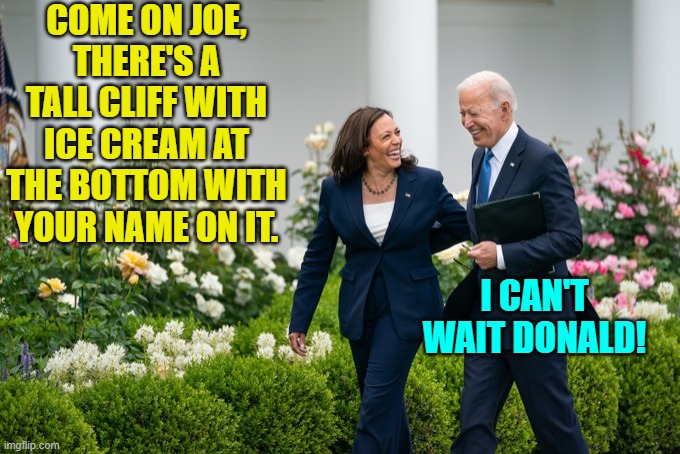 Where's that famous football helmet when you need it? | COME ON JOE, THERE'S A TALL CLIFF WITH ICE CREAM AT THE BOTTOM WITH YOUR NAME ON IT. I CAN'T WAIT DONALD! | image tagged in yep | made w/ Imgflip meme maker