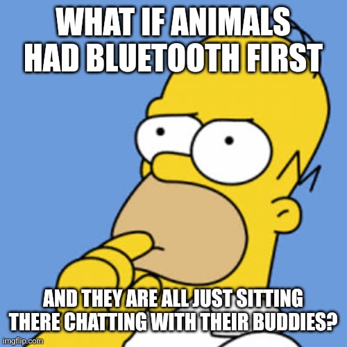 Homer Pondering | WHAT IF ANIMALS HAD BLUETOOTH FIRST; AND THEY ARE ALL JUST SITTING THERE CHATTING WITH THEIR BUDDIES? | image tagged in homer pondering,deep thoughts,thinking,animals | made w/ Imgflip meme maker