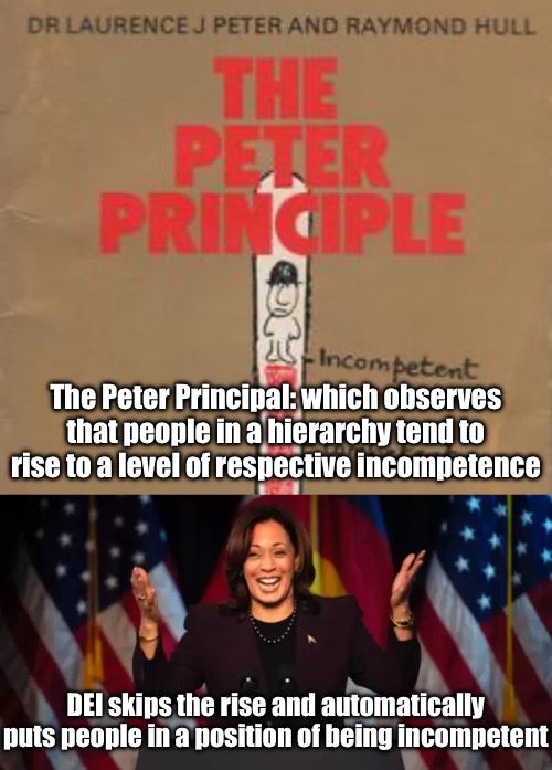 The Peter Principal: which observes that people in a hierarchy tend to rise to a level of respective incompetence; DEI skips the rise and automatically puts people in a position of being incompetent | made w/ Imgflip meme maker