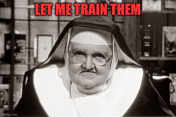 Frowning Nun Meme | LET ME TRAIN THEM | image tagged in memes,frowning nun | made w/ Imgflip meme maker