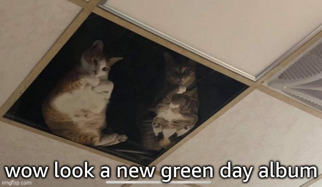 when a green day album releases it usually is pirated and listened to through and through. At least in my home. | wow look a new green day album | image tagged in ceiling cat 2 0 | made w/ Imgflip meme maker