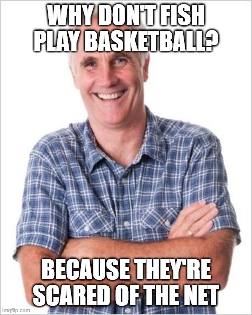 Istg this is a bad dad joke | WHY DON'T FISH PLAY BASKETBALL? BECAUSE THEY'RE SCARED OF THE NET | image tagged in dad joke,memes,dad joke meme,puns | made w/ Imgflip meme maker