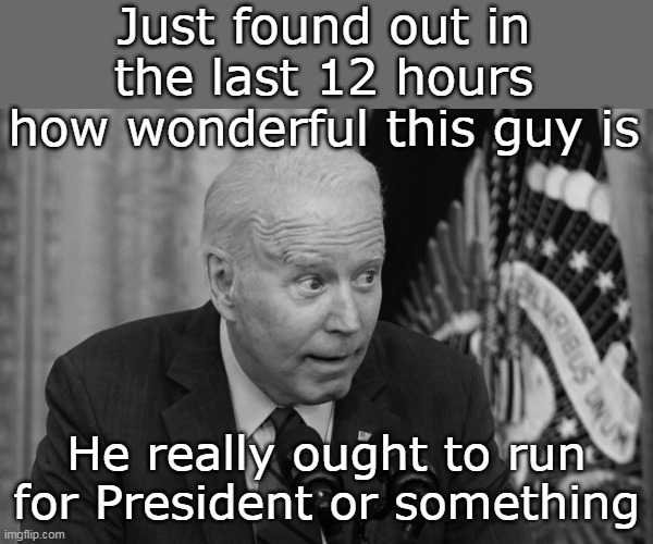 Turns out, we were all wrong | Just found out in the last 12 hours how wonderful this guy is; He really ought to run for President or something | image tagged in biden wonderful meme | made w/ Imgflip meme maker