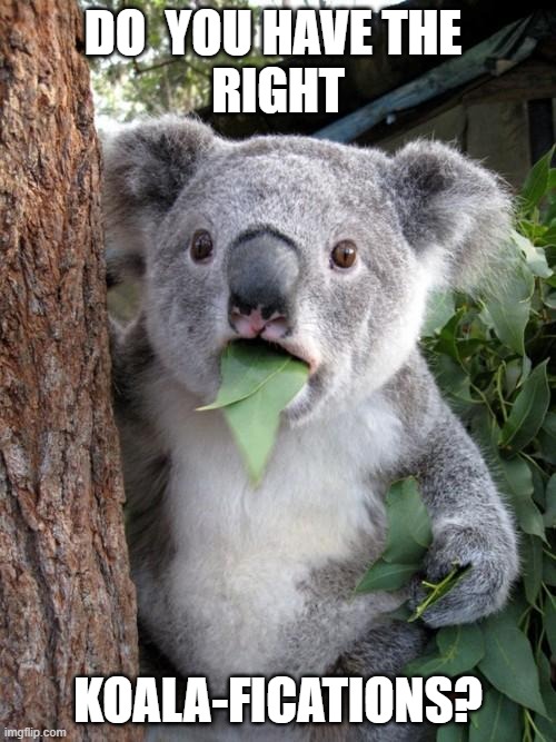 Surprised Koala | DO  YOU HAVE THE 
RIGHT; KOALA-FICATIONS? | image tagged in memes,surprised koala | made w/ Imgflip meme maker