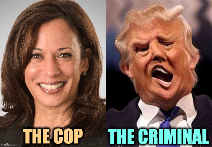 Kamala Harris, former State Attorney General. Donald Trump, convicted felon. | THE COP; THE CRIMINAL | image tagged in kamala harris sane donald trump crazy on acid,kamala harris,president,attorney general,donald trump,convicted felon | made w/ Imgflip meme maker