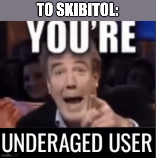 You’re underage user | TO SKIBITOL: | image tagged in you re underage user | made w/ Imgflip meme maker