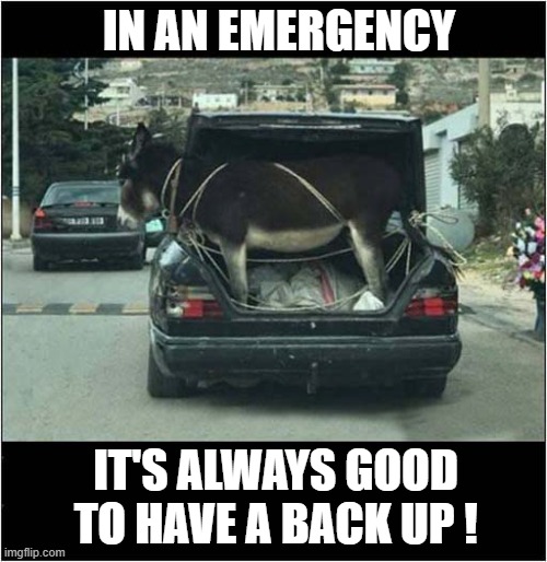 Be Prepared ! | IN AN EMERGENCY; IT'S ALWAYS GOOD TO HAVE A BACK UP ! | image tagged in cars,be prepare,donkey | made w/ Imgflip meme maker