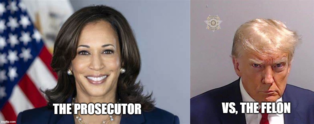 VS, THE FELON; THE PROSECUTOR | image tagged in kamala harris,donald trump | made w/ Imgflip meme maker