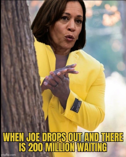 SEND IN THE CLOWNS | image tagged in kamala harris,joe biden,democrats,2024 presidential race | made w/ Imgflip meme maker