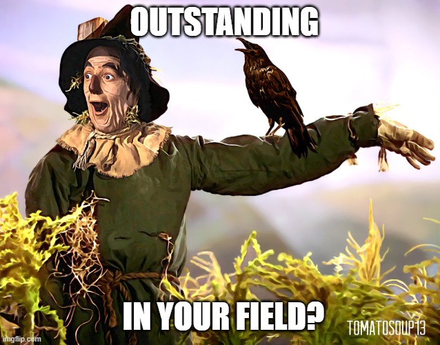 SCARECROW - OZ | OUTSTANDING; IN YOUR FIELD? | image tagged in scarecrow - oz | made w/ Imgflip meme maker